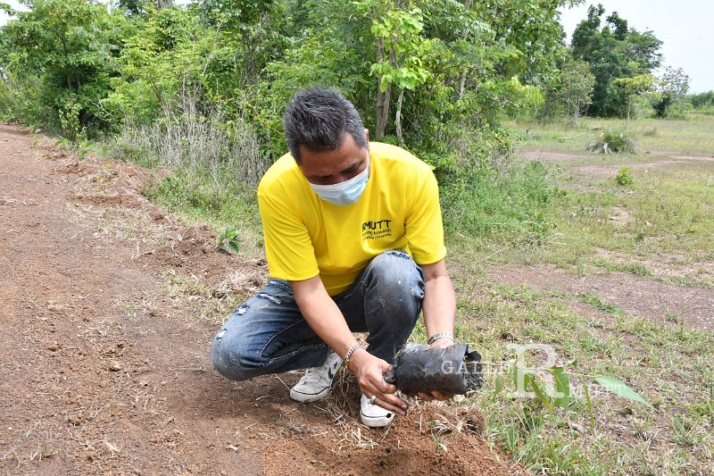 20210526-Tree planting dayt-088.JPG